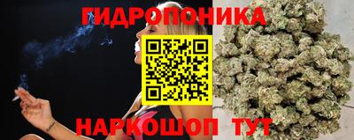 apvp Татарск