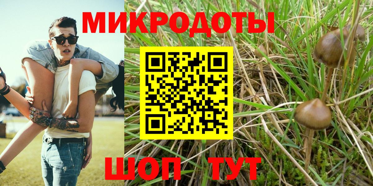 Псилоцибиновые грибы Psilocybe Миасс