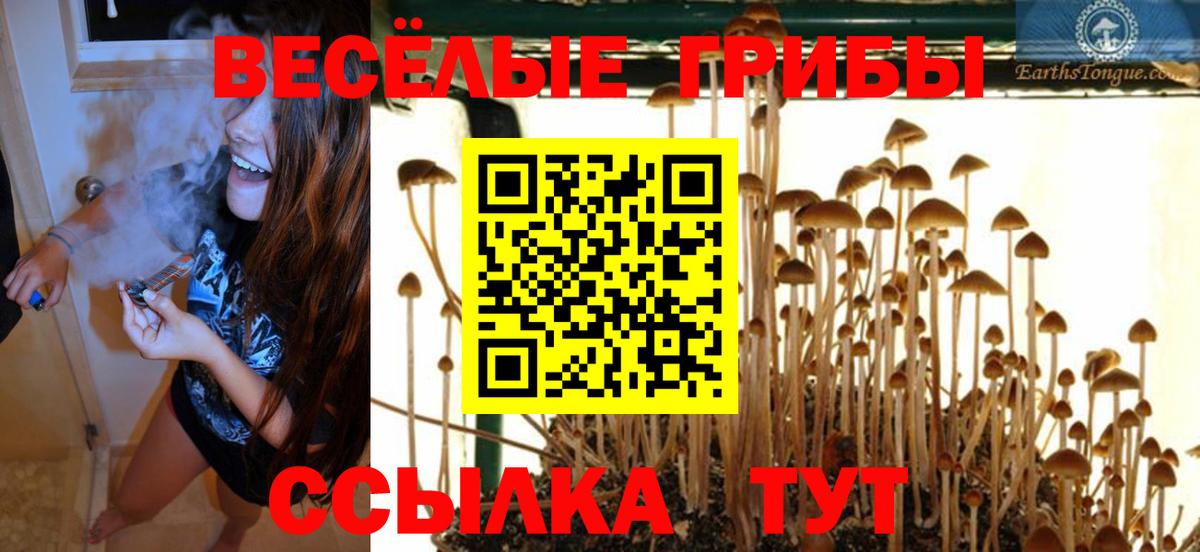 Миасс  КОКАИН  ГАШИШ  Вход с VPN  Меф МЯУ МЯУ  Бошки Шишки  Мефедрон   ЭКСТАЗИ 